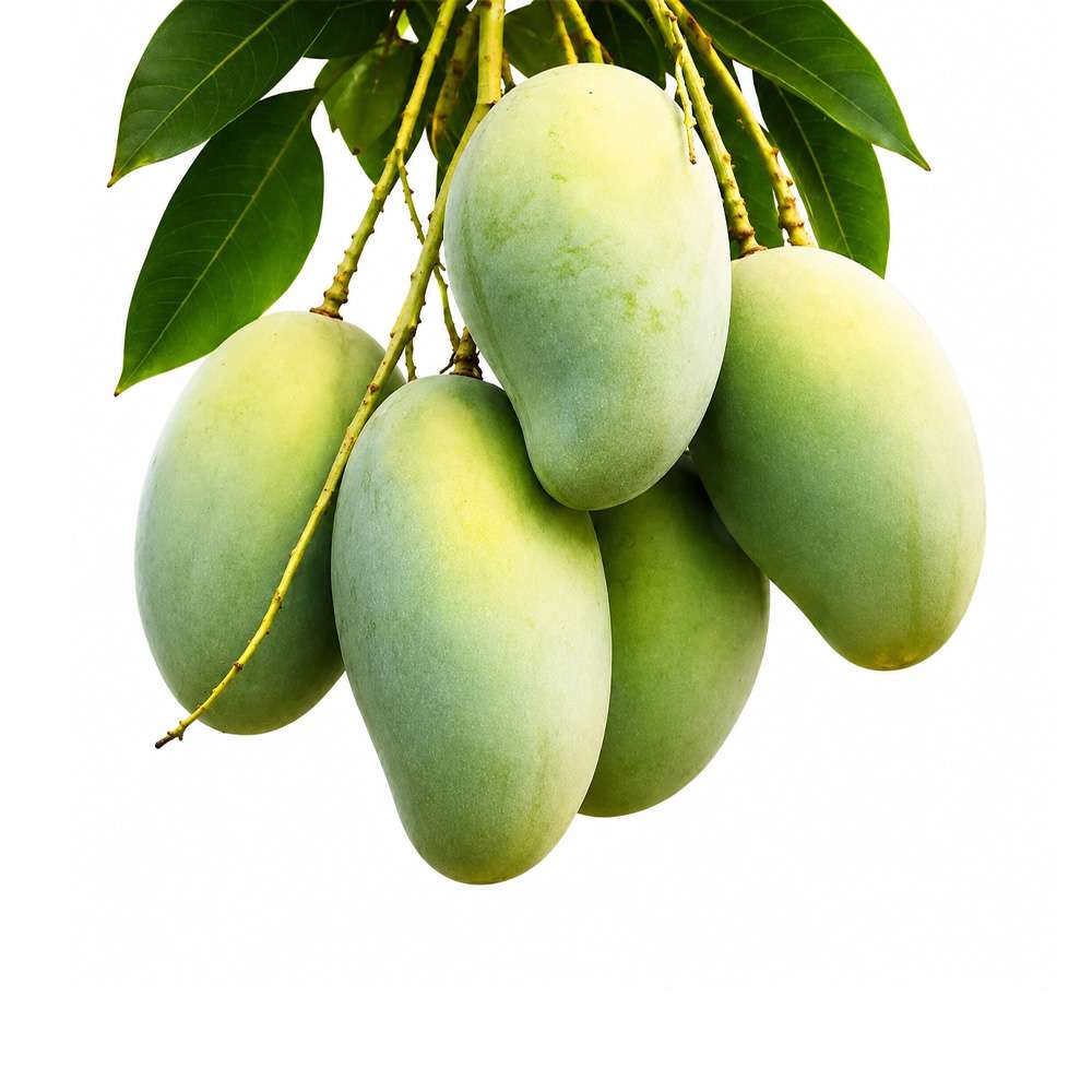 Amrapali Mango 10 kg